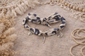 Collier foulard imprimé avec breloques argentées